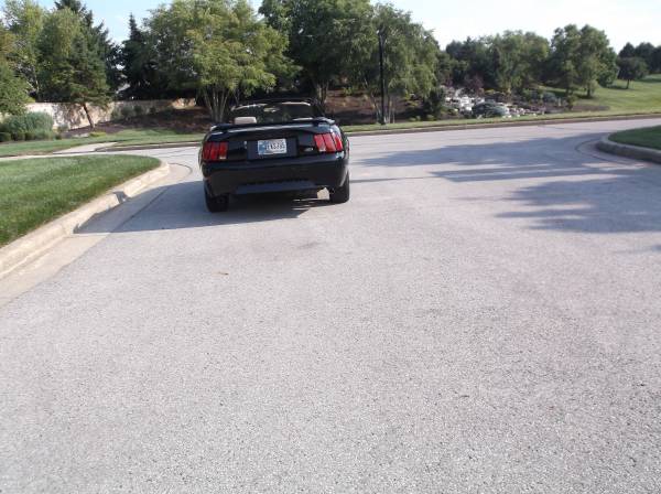 2001 Ford Mustang GT 2dr Coupe Manual — photo 4