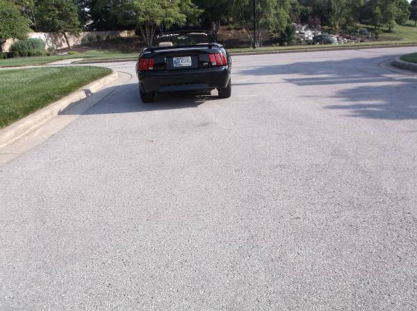 2001 Ford Mustang GT 2dr Coupe Manual — photo 3