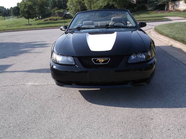 2001 Ford Mustang GT 2dr Coupe Manual — photo 1