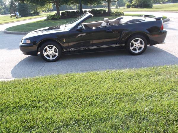 2001 Ford Mustang GT 2dr Coupe Manual — photo 2