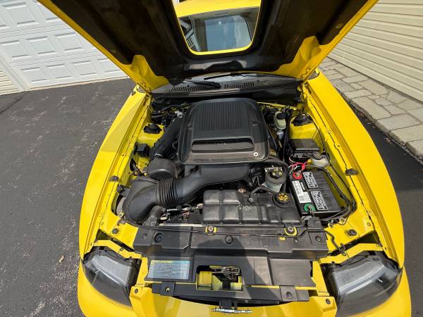 2003 Ford Mustang Mach 1 2dr Coupe Manual — photo 11