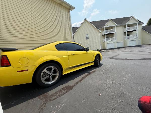 2003 Ford Mustang Mach 1 2dr Coupe Manual — photo 3
