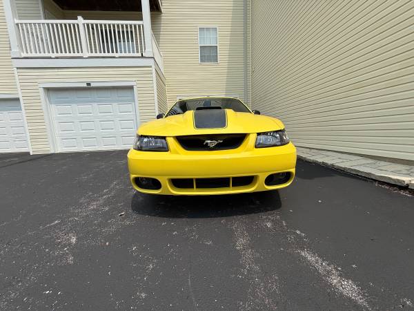 2003 Ford Mustang Mach 1 2dr Coupe Manual — photo 1