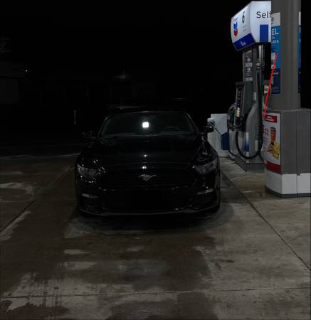 2016 Ford Mustang V6 2dr Fastback Manual — photo 4