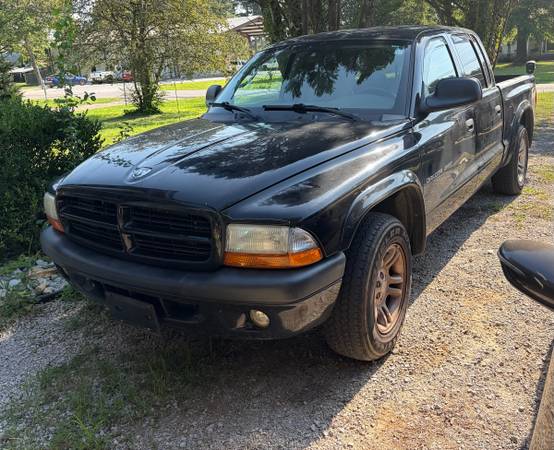 2002 Dodge Dakota Base — photo 1