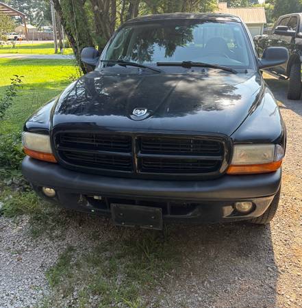 2002 Dodge Dakota Base — photo 2