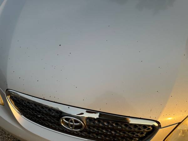 2006 Toyota Corolla S 4dr Sedan Manual — photo 6