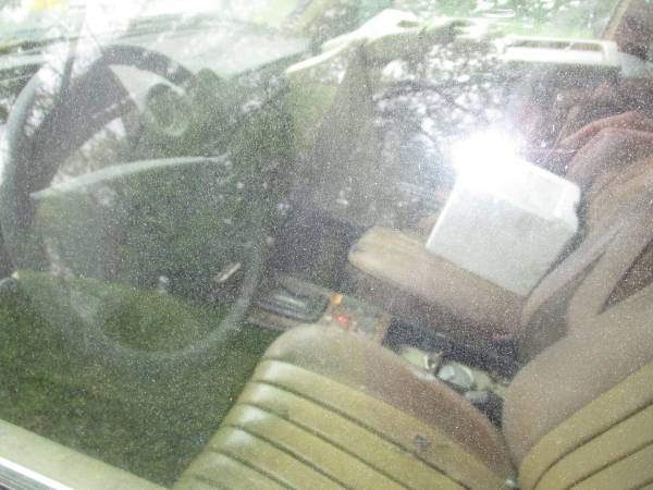 1984 Mercedes-Benz 300td W123 — photo 3