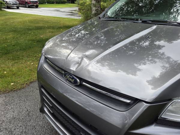 2014 Ford Escape SE 4dr Front-wheel Drive Automatic — photo 11