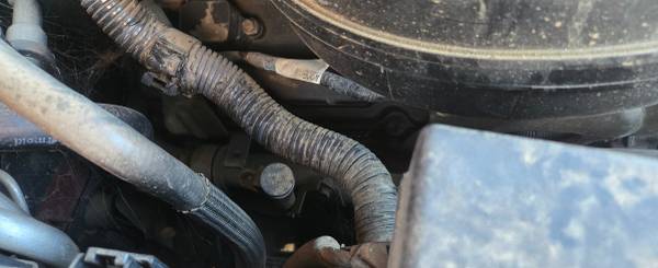 2005 Nissan Pathfinder SE — photo 6