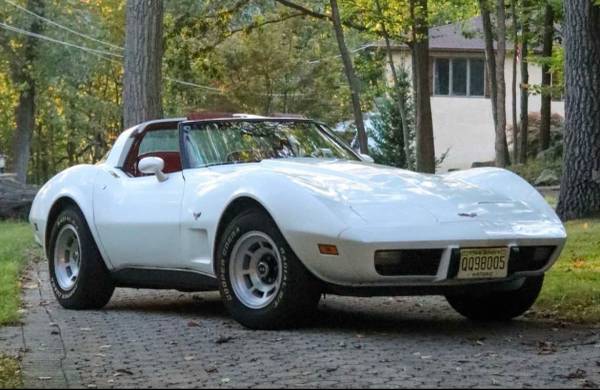 1979 Chevrolet Corvette — photo 1
