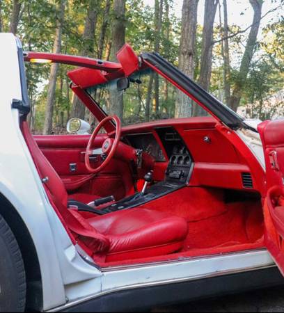 1979 Chevrolet Corvette — photo 6