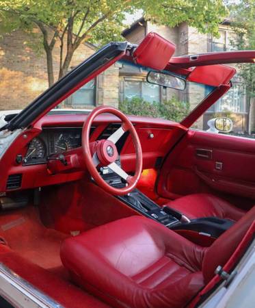 1979 Chevrolet Corvette — photo 7