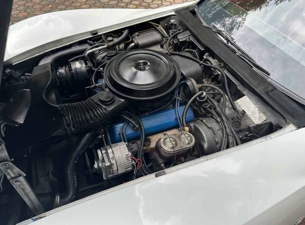 1979 Chevrolet Corvette — photo 8