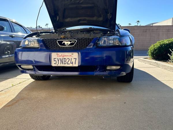 2003 Ford Mustang GT Premium 2dr Convertible Manual — photo 8