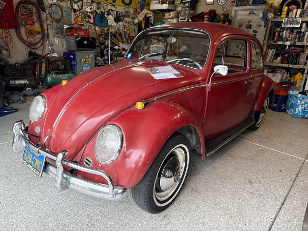 1965 Volkswagen Beetle — photo 1
