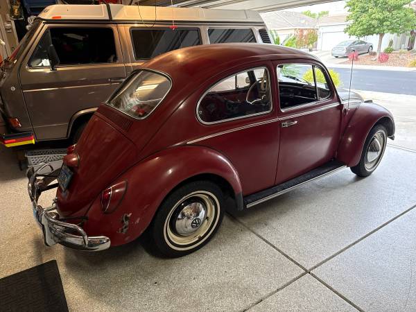 1965 Volkswagen Beetle — photo 3