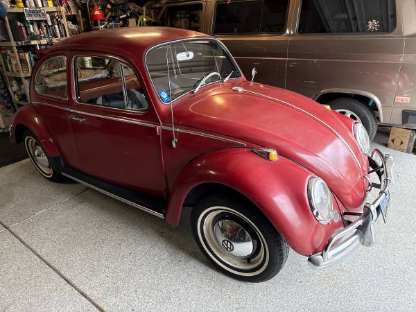 1965 Volkswagen Beetle — photo 4