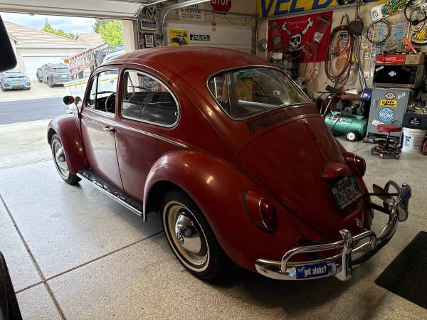 1965 Volkswagen Beetle — photo 2