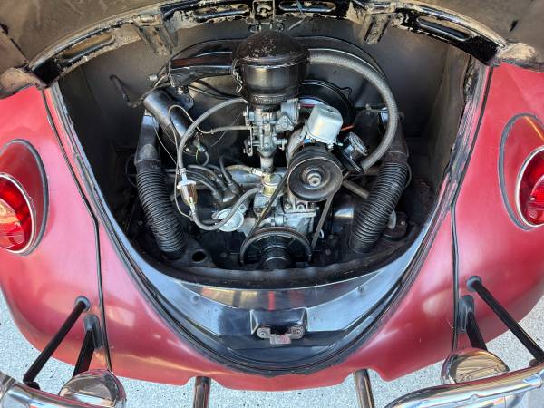 1965 Volkswagen Beetle — photo 6