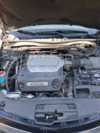 2011 Honda Accord 3.5 EX-L 2dr Coupe Automatic — photo 6