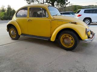 1970 Volkswagen Bug — photo 7