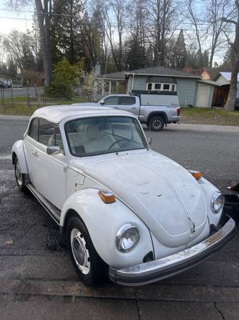 1977 Volkswagen Champagne Edition — photo 3