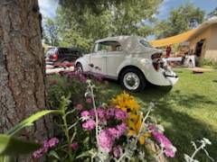 1977 Volkswagen Champagne Edition — photo 4