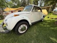 1977 Volkswagen Champagne Edition — photo 2