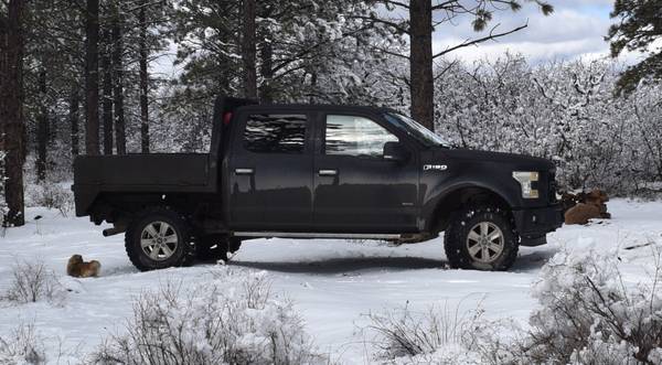 2015 Ford F-150 XLT — photo 2
