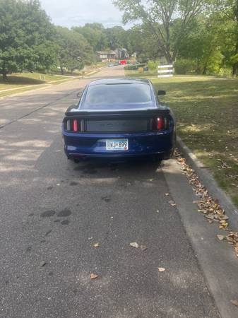 2015 Ford Mustang GT 2dr Fastback Manual — photo 5