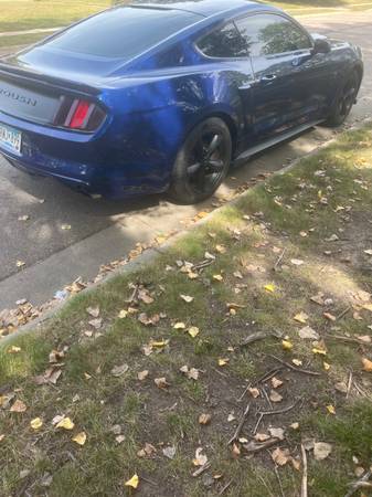 2015 Ford Mustang GT 2dr Fastback Manual — photo 6