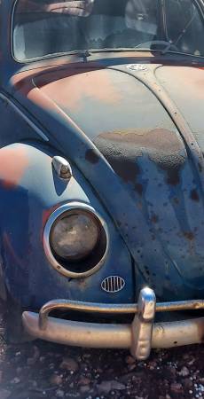 1960 Volkswagen Bug Ragtop — photo 2