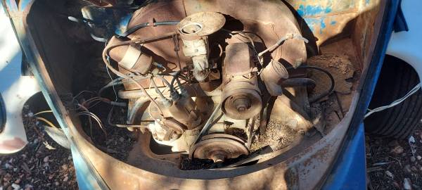 1960 Volkswagen Bug Ragtop — photo 11