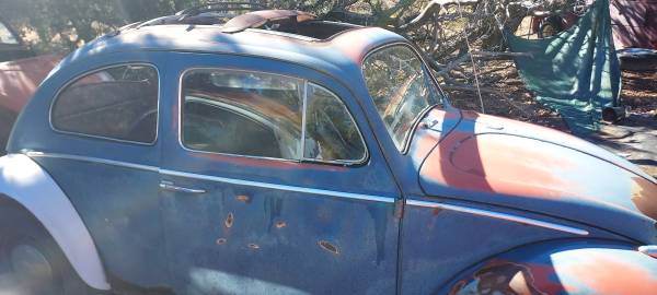 1960 Volkswagen Bug Ragtop — photo 1