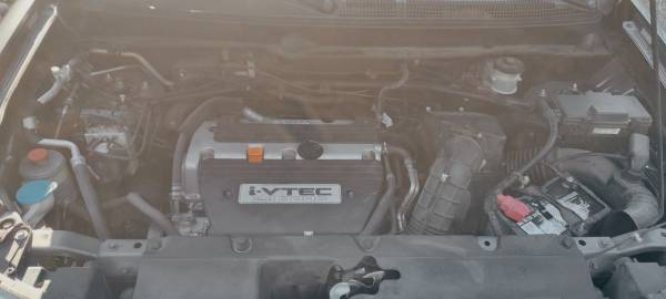 2011 Honda Element LX 4dr Front-wheel Drive Automatic — photo 4