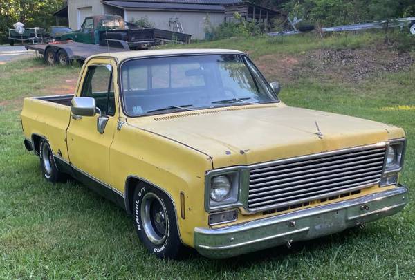 1978 Chevrolet Truck — photo 5