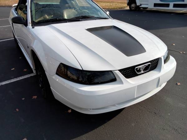 2004 Ford Mustang GT 2dr Coupe Manual — photo 8