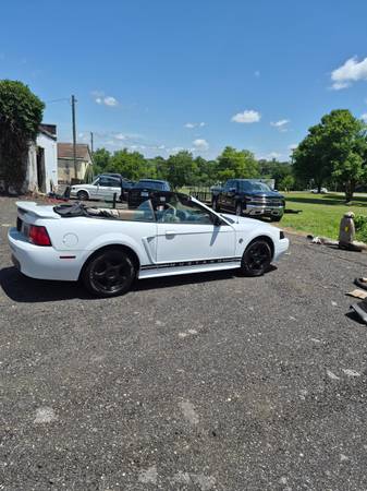 2004 Ford Mustang GT 2dr Coupe Manual — photo 1