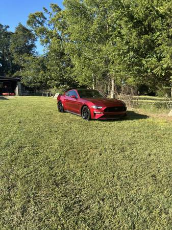 2019 Ford Mustang GT — photo 2