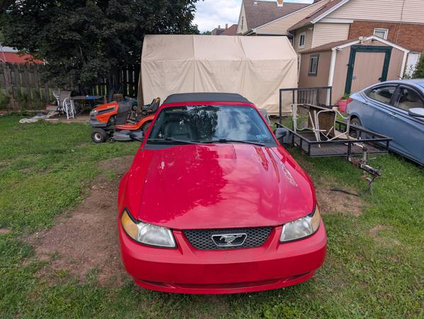 2002 Ford Mustang GT 2dr Coupe Manual — photo 2