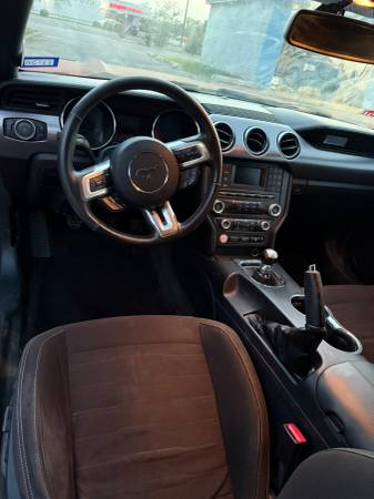 2015 Ford Mustang GT 2dr Fastback Manual — photo 11
