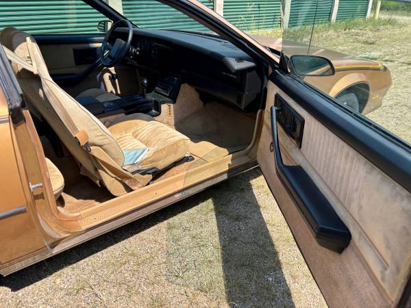 1982 Chevrolet Camaro Berlinetta 2dr Hatchback — photo 7
