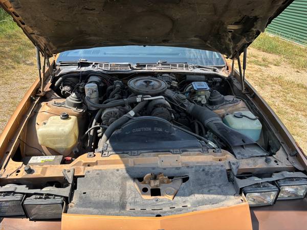 1982 Chevrolet Camaro Berlinetta 2dr Hatchback — photo 9