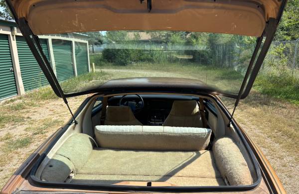 1982 Chevrolet Camaro Berlinetta 2dr Hatchback — photo 8