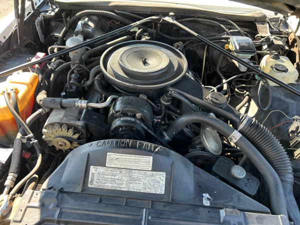 1984 Cadillac Eldorado Base — photo 5