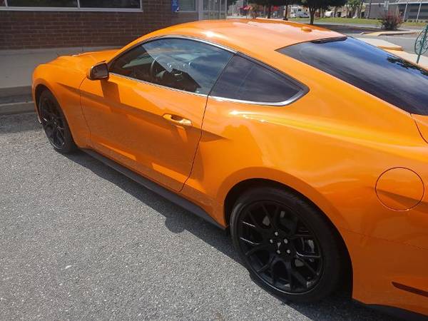 2019 Ford Mustang GT 2dr Fastback Manual — photo 6