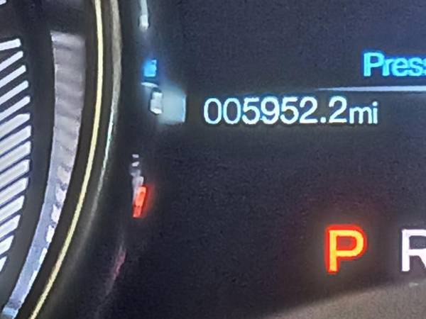 2019 Ford Mustang GT 2dr Fastback Manual — photo 3