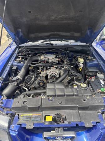 2002 Ford Mustang GT 2dr Coupe Manual — photo 11