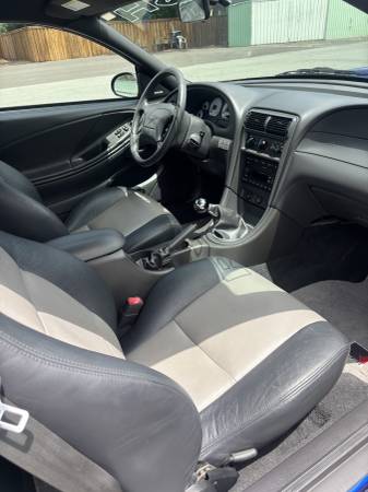 2002 Ford Mustang GT 2dr Coupe Manual — photo 8